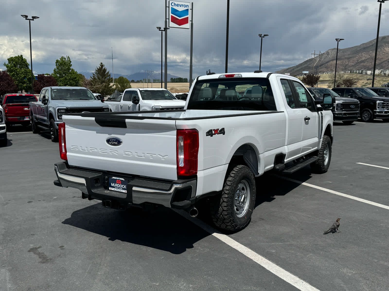 Main image 6