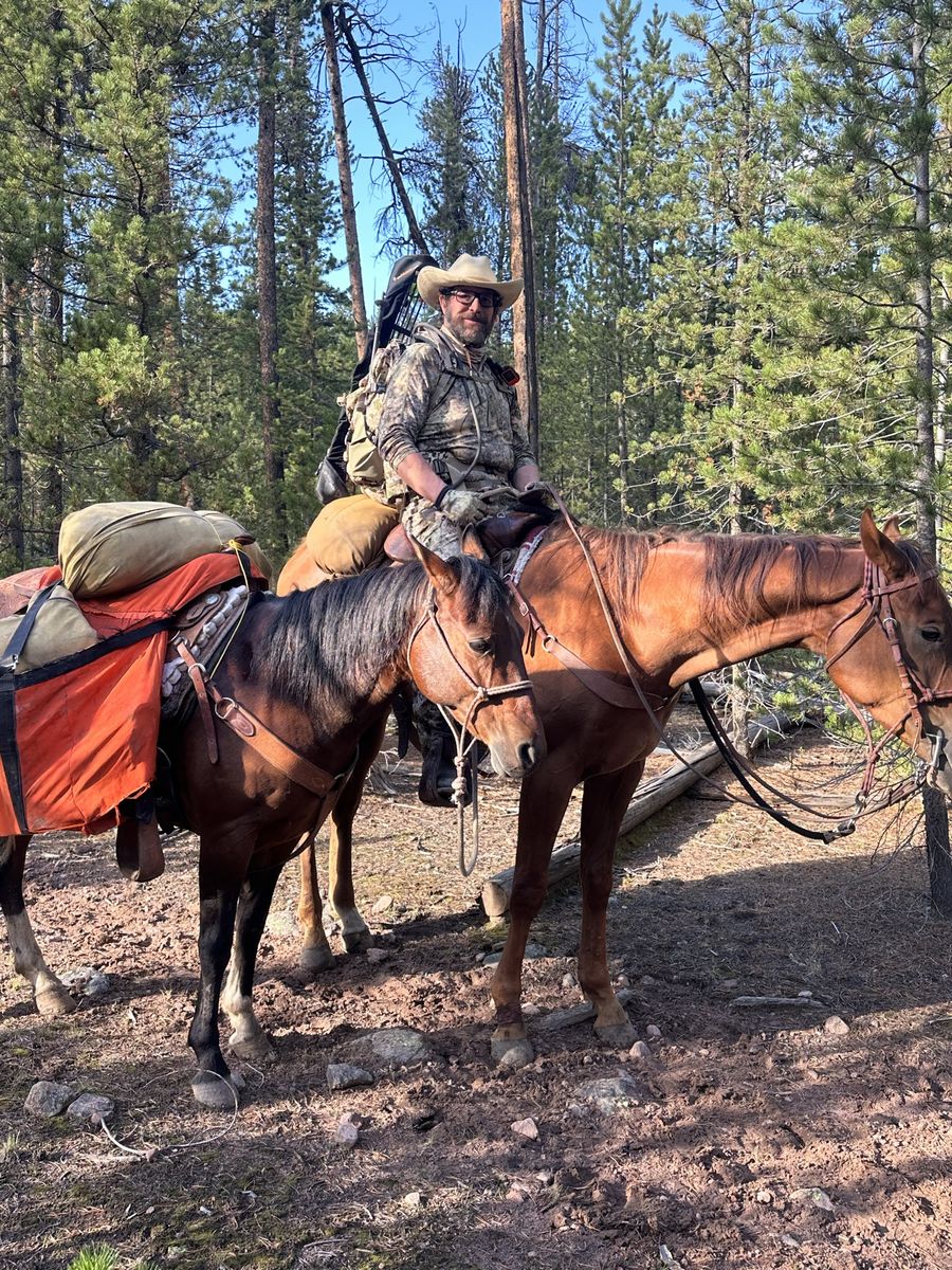 AQHA First Down Dash Dash To Fame Barrel Prospect