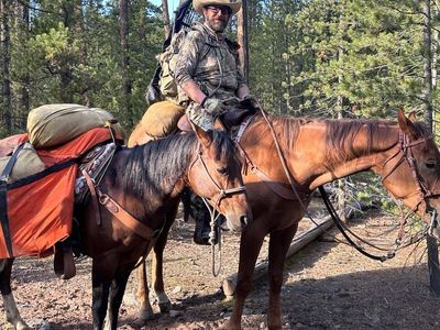 AQHA First Down Dash Dash To Fame Barrel Prospect