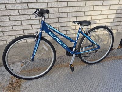 schwinn 18 spd bike
