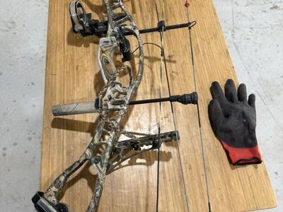 Hoyt Alfa Max Compound Bow