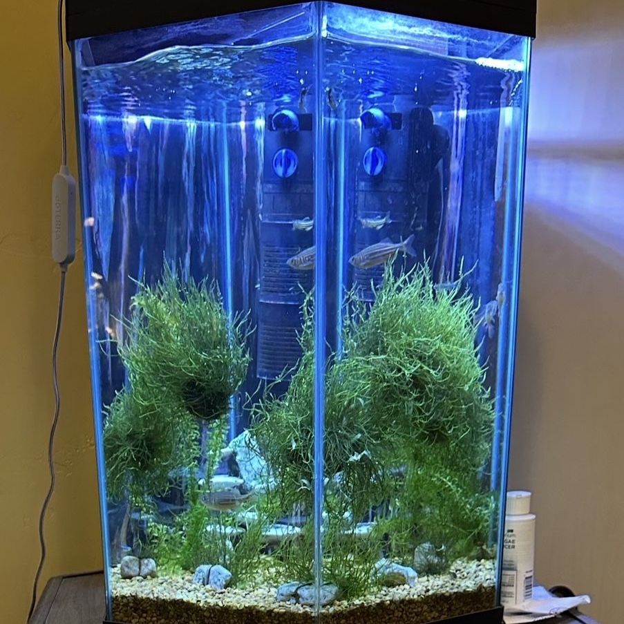 Hexagonal fish tank