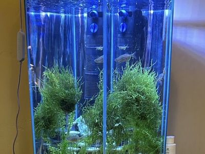 Hexagonal fish tank