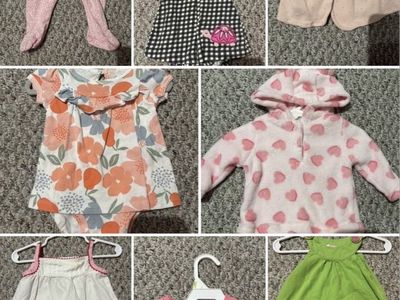 0-3 Month baby Girl Clothing Lot (over 50 pieces)