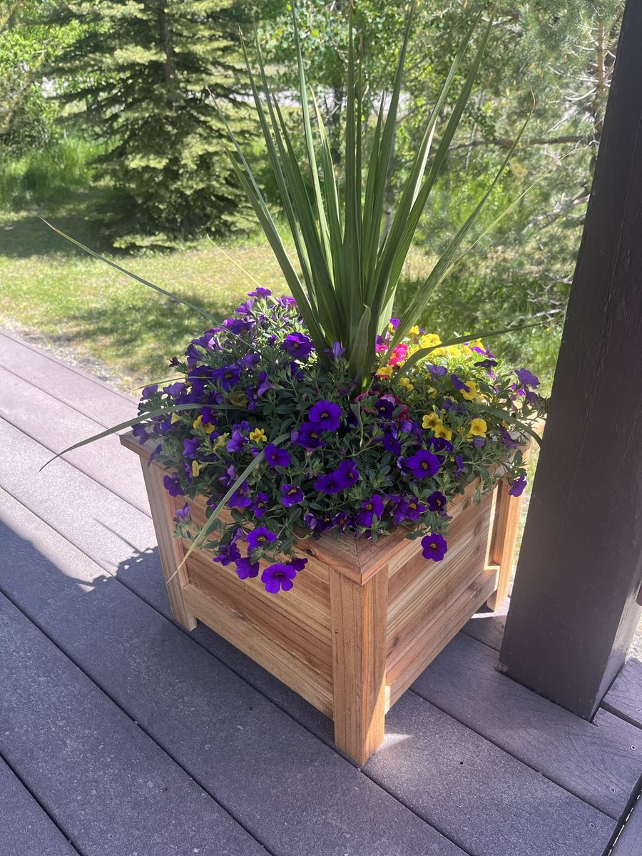 Handcrafted Wood Planter Box - Clear Finish