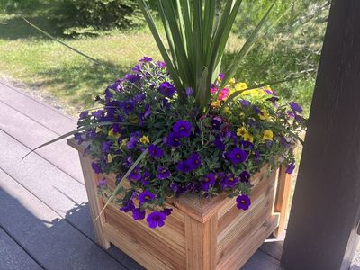Handcrafted Wood Planter Box - Clear Finish