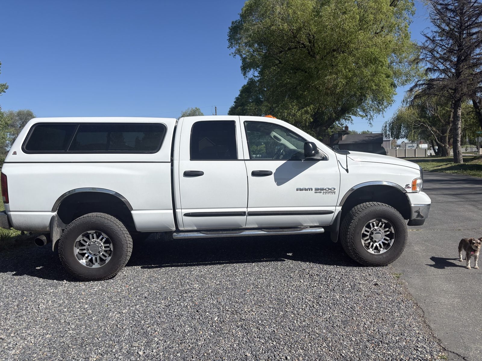 Dodge truck shell/topper