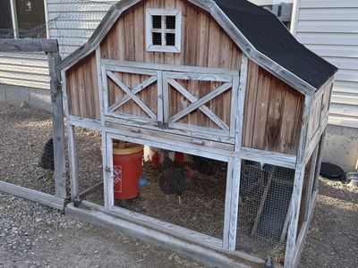 Chickens And Hen House