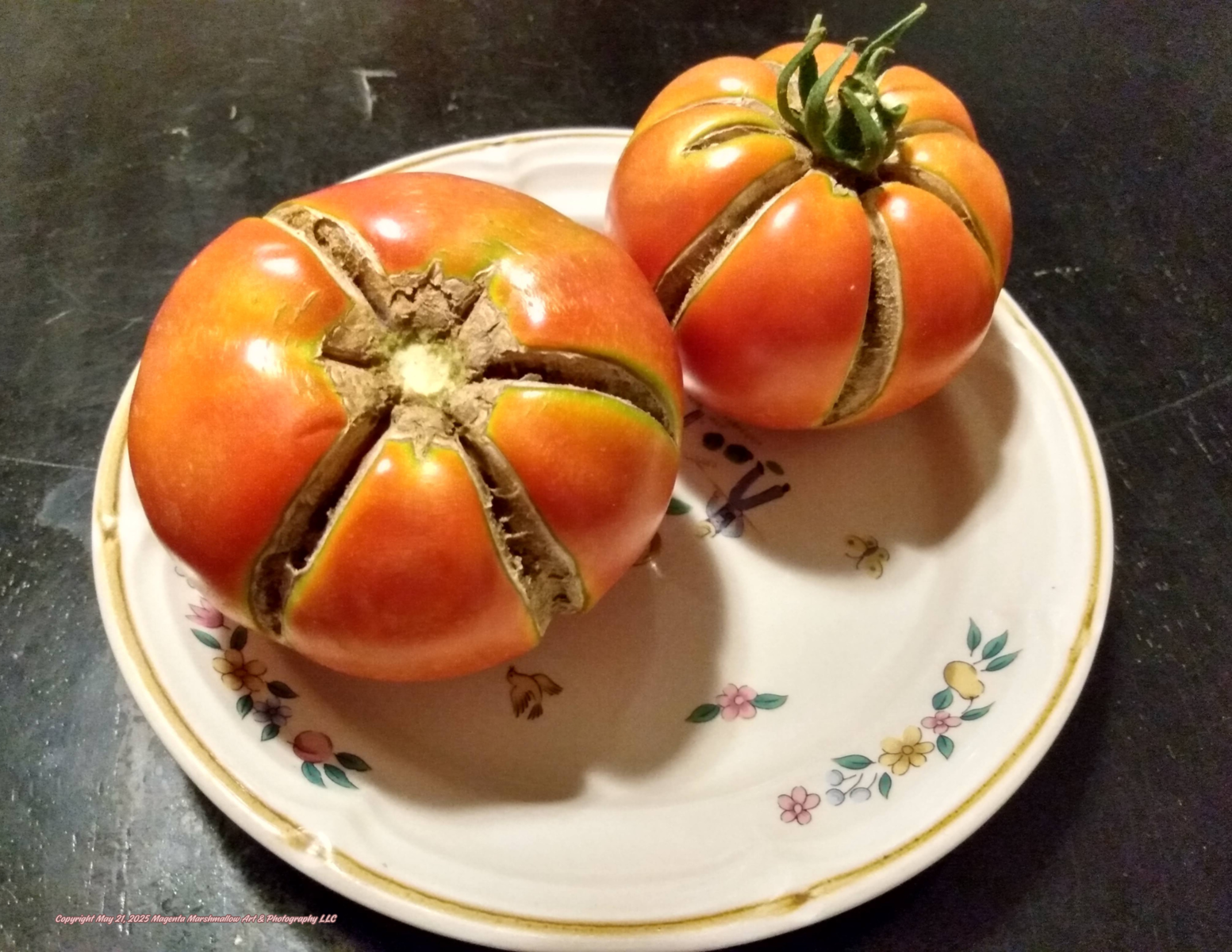 Tomatoes - Metal Print