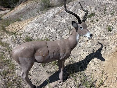 9 Like New Delta Mckenzie 3D Archery Targets