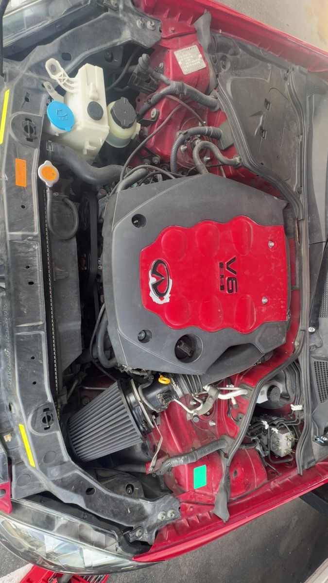 Main image 5