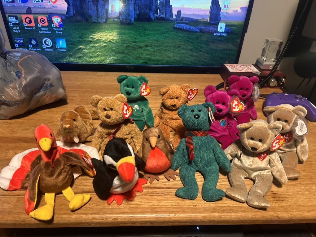 1990's Beanie Babies Collection 21 Beanie Babies
