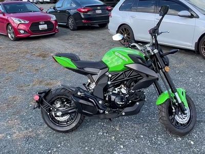 2022 Wolf Striker 125