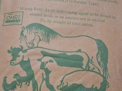 diatomaceous earth