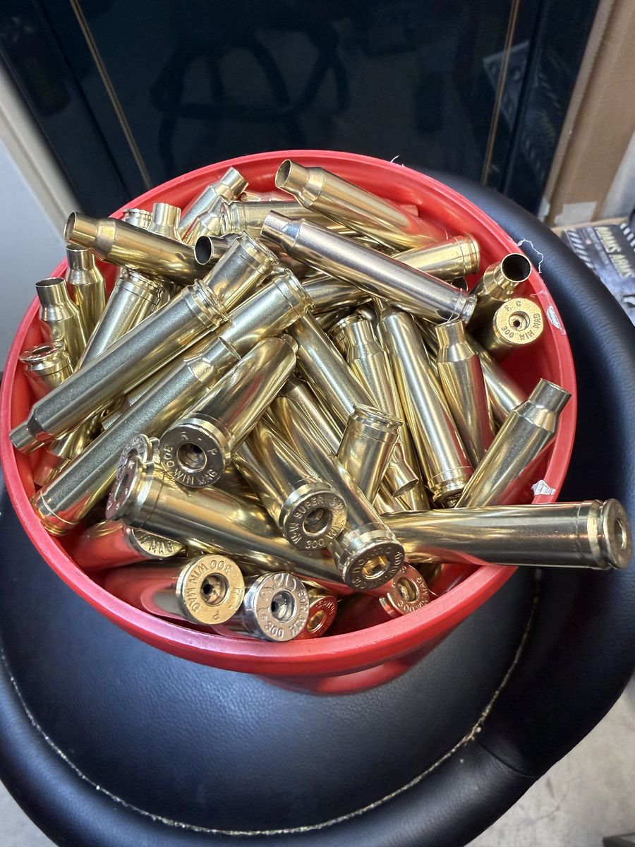 300 win mag cases