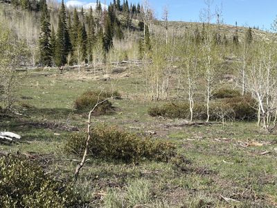 Beautiful kemmerer Wyoming land