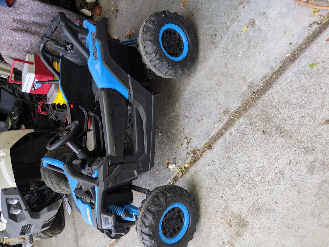 24 v electric side by side