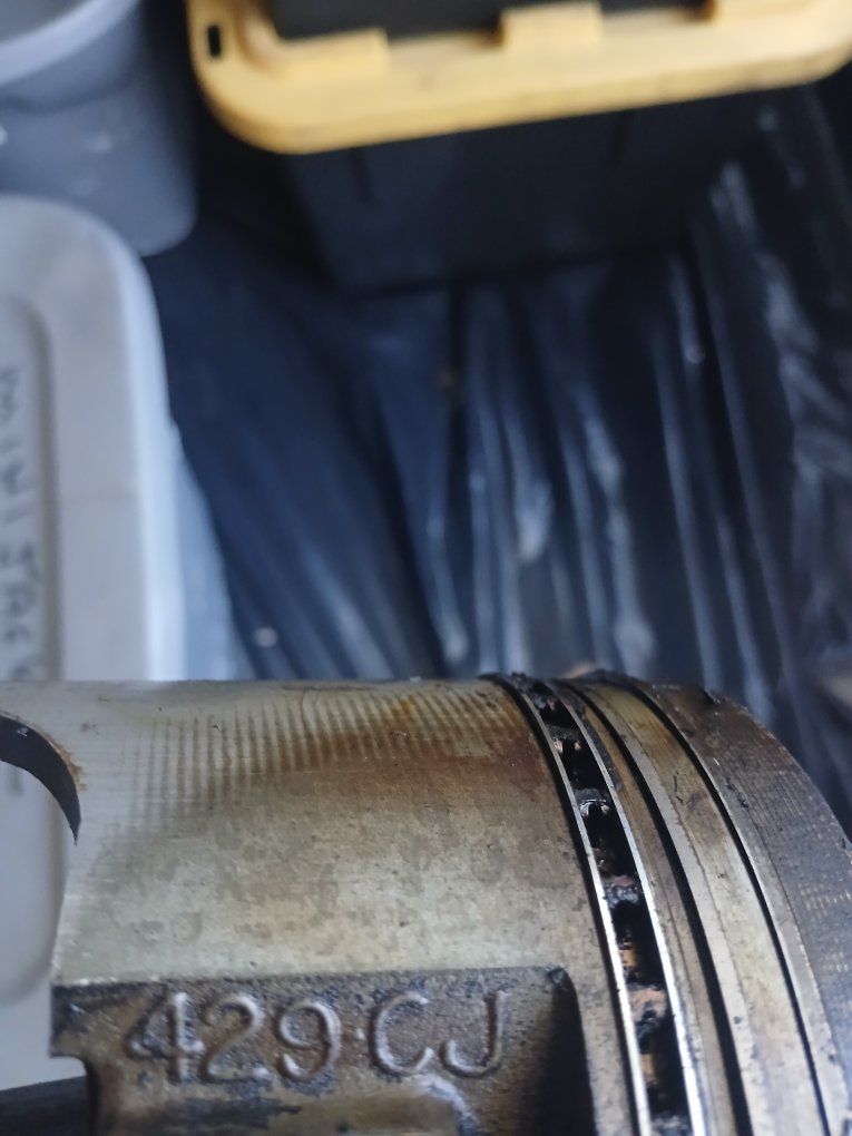Main image 3