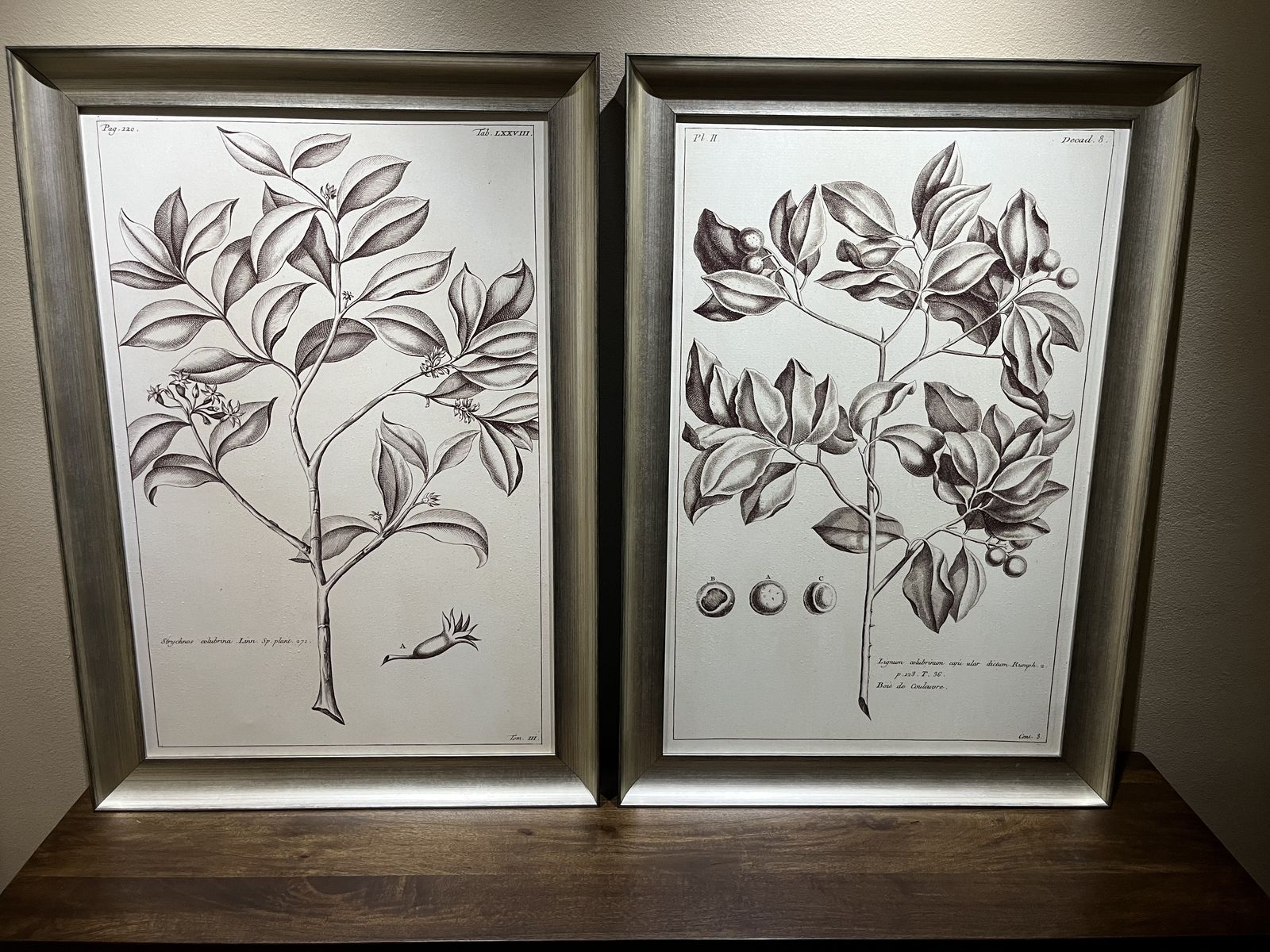 Neiman Marcus premium framed botanical prints - 24"x36" - Mint Condition - 2 available