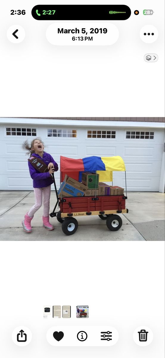 LL Bean XL Wagon with Snow Sleds
