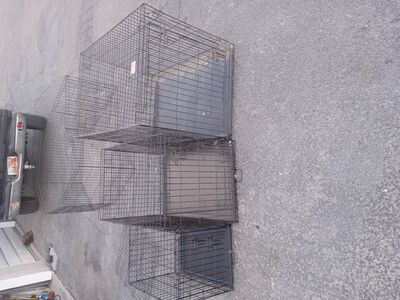 dog kennels for sale 50 each