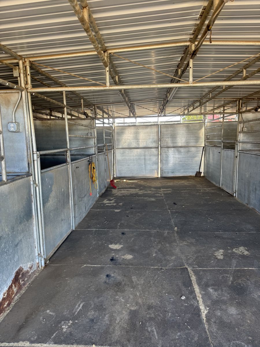 Main image 4