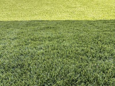 Elite Artificial Turf