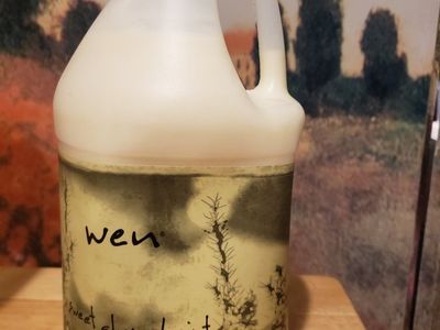 WEN by Chaz Dean Gallon Hair Cleansing Conditioner