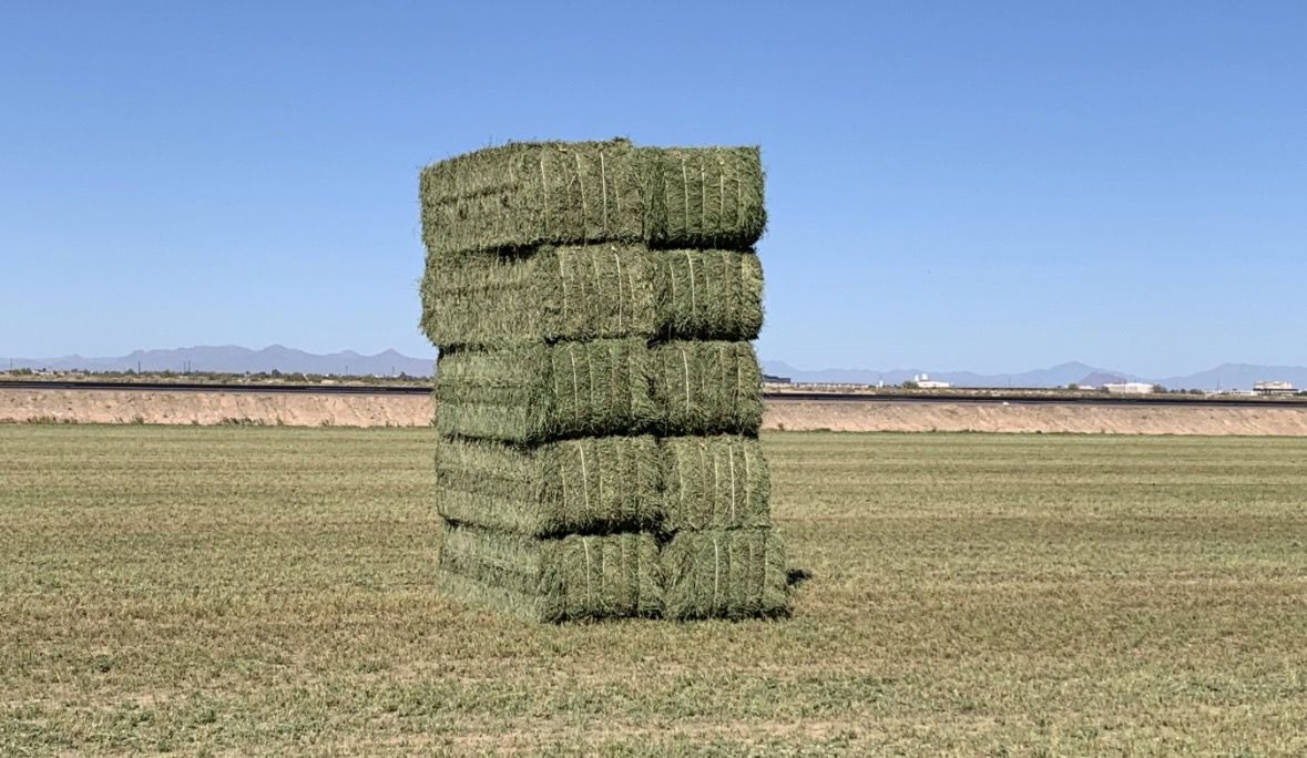 3x4x8 alfalfa