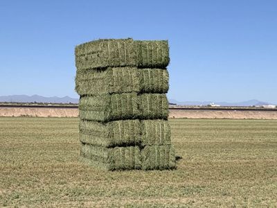 3x4x8 alfalfa