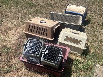 Dog/Cat Carriers/Kennels