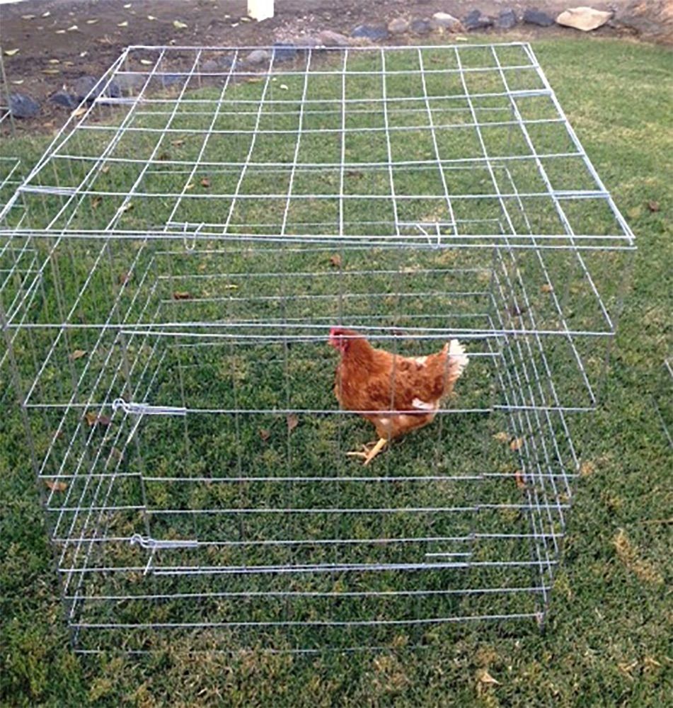 new 40x40x40 gamefowl Cages