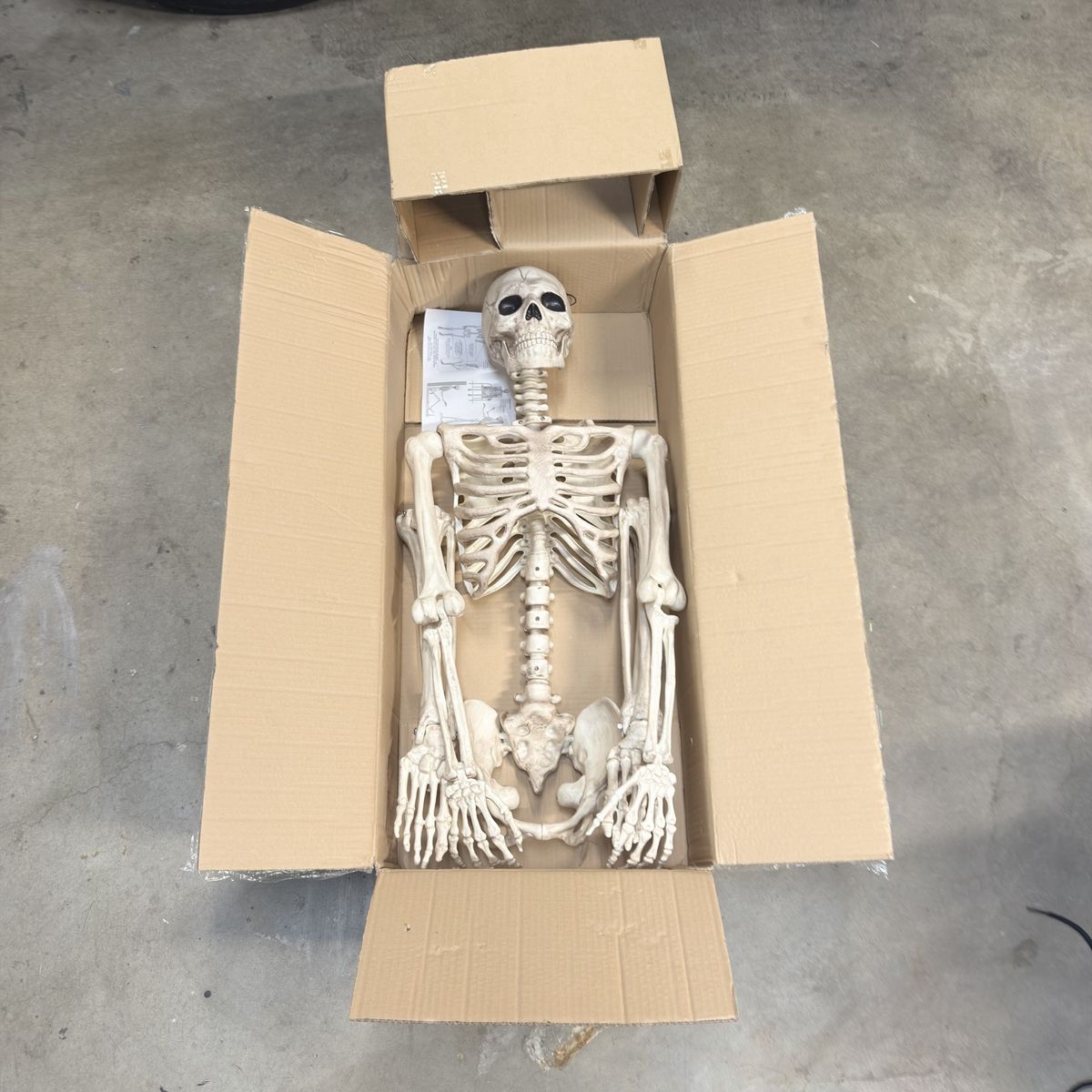 5’ Skeleton Figure - Brand New in Box