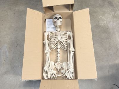 5’ Skeleton Figure - Brand New in Box