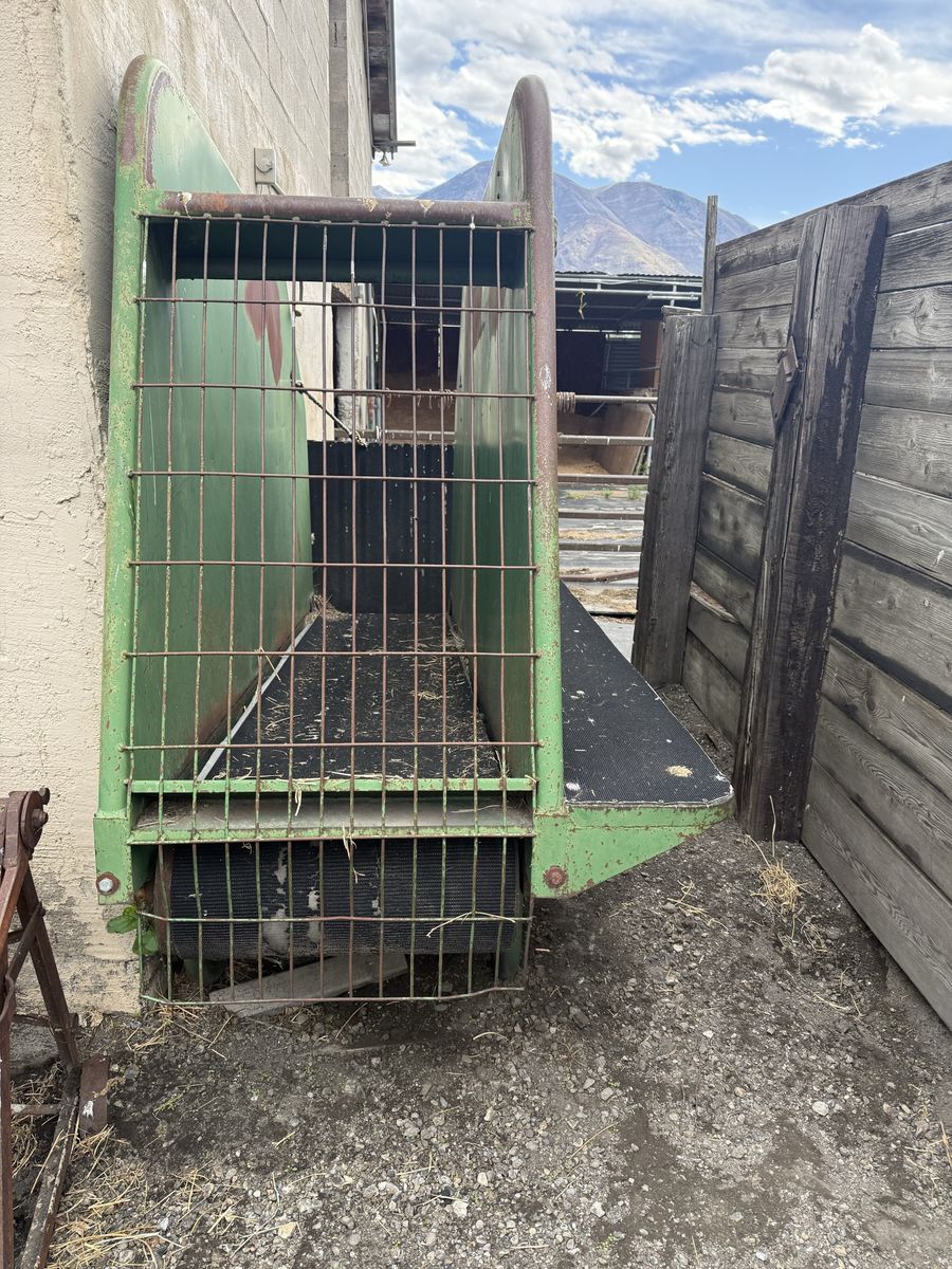 Horse Electric Treadmill