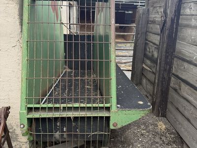 Horse Electric Treadmill