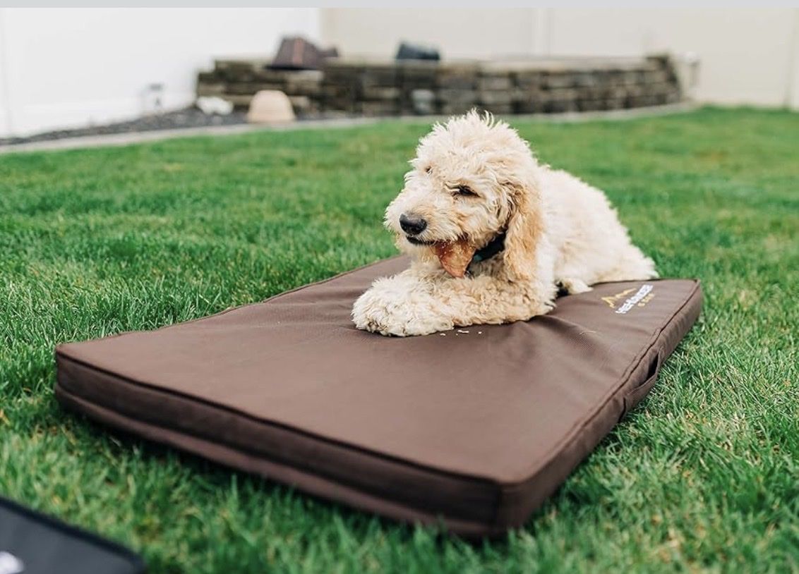highlander dog bed Lightweight Portable Dog Pad Bed black xl