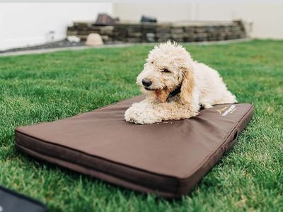 highlander dog bed Lightweight Portable Dog Pad Bed black xl