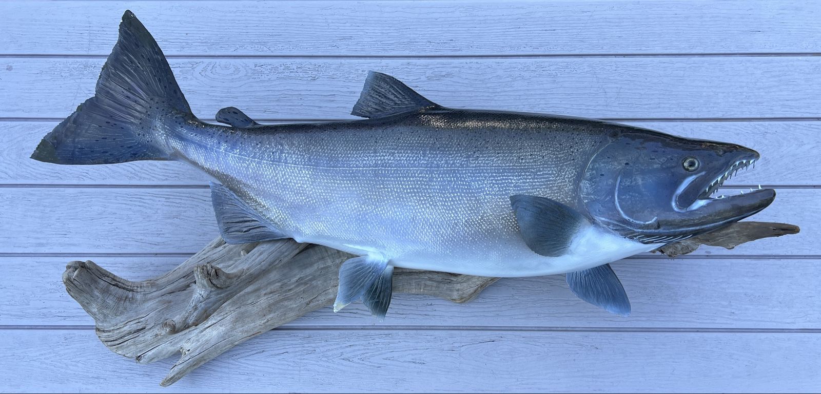 King Salmon Mount