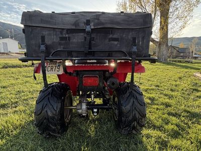 2001 Yamaha Bear Tracker 250