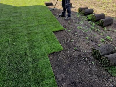 Fresh Sod delivery, ground prep and installation