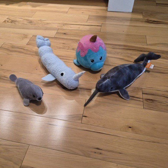 3 Narwhals + 1 Seal