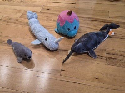 3 Narwhals + 1 Seal