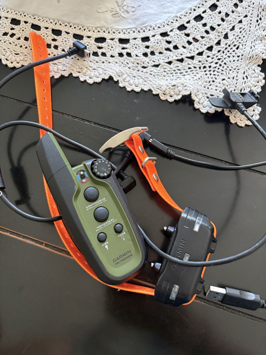 Garmin Sport Pro e collar