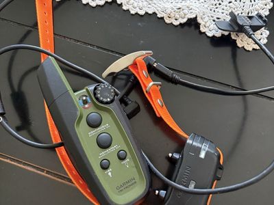 Garmin Sport Pro e collar