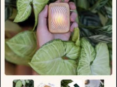 Plant wave