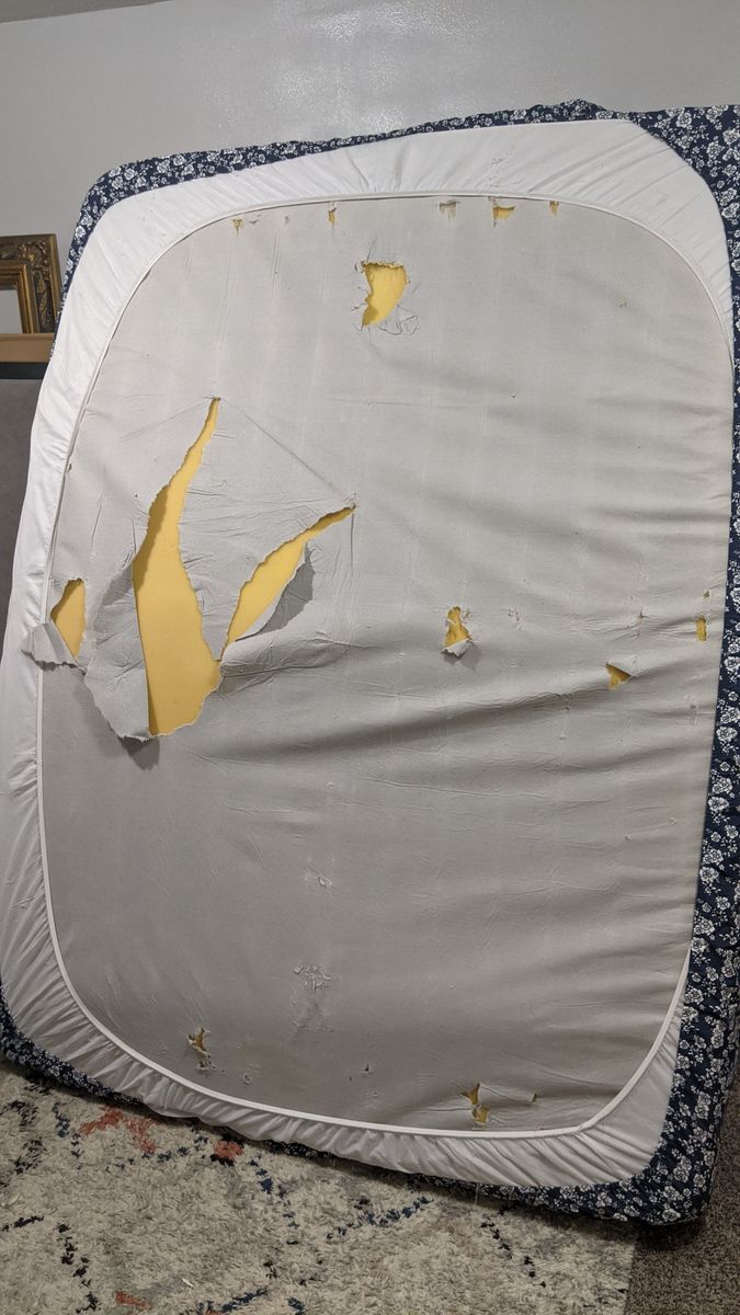 Queen Mattress & Box Spring