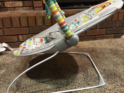 Bright Starts Playful Paradise Bouncer Infant Seat with Vibrations & Toys