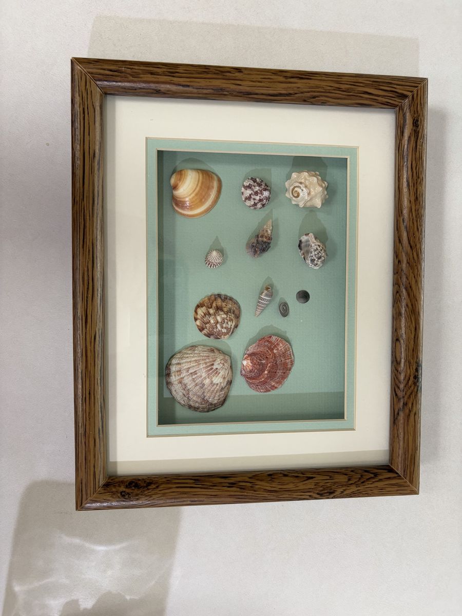 Main image 5