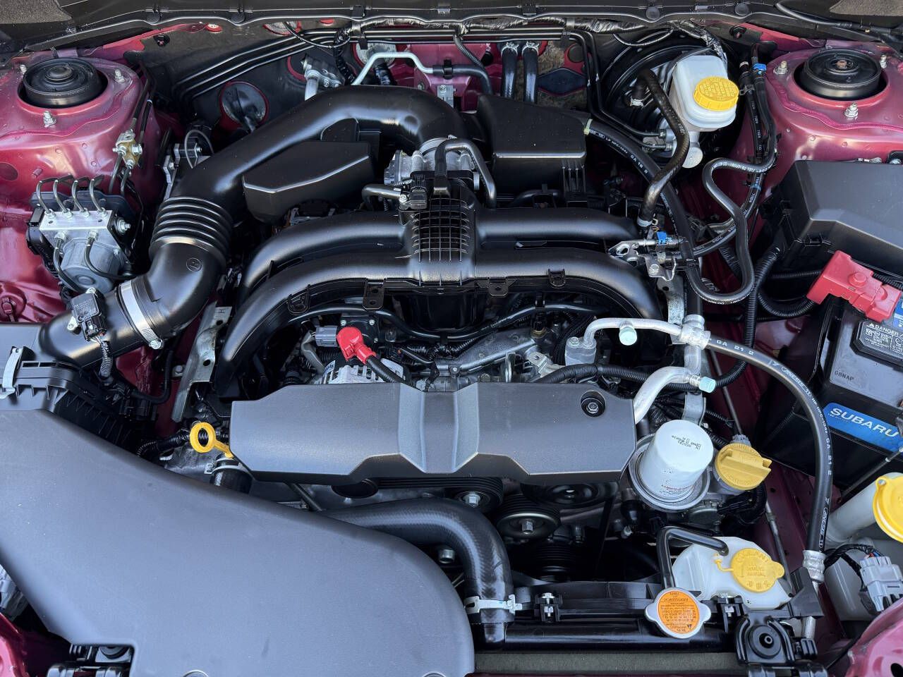 Main image 5